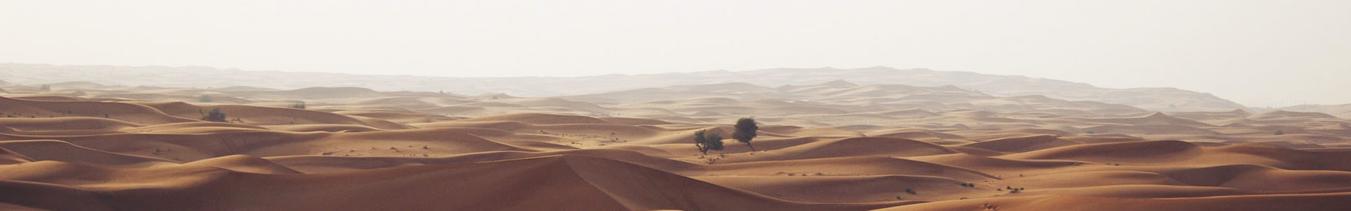 ųʳƷ޹˾